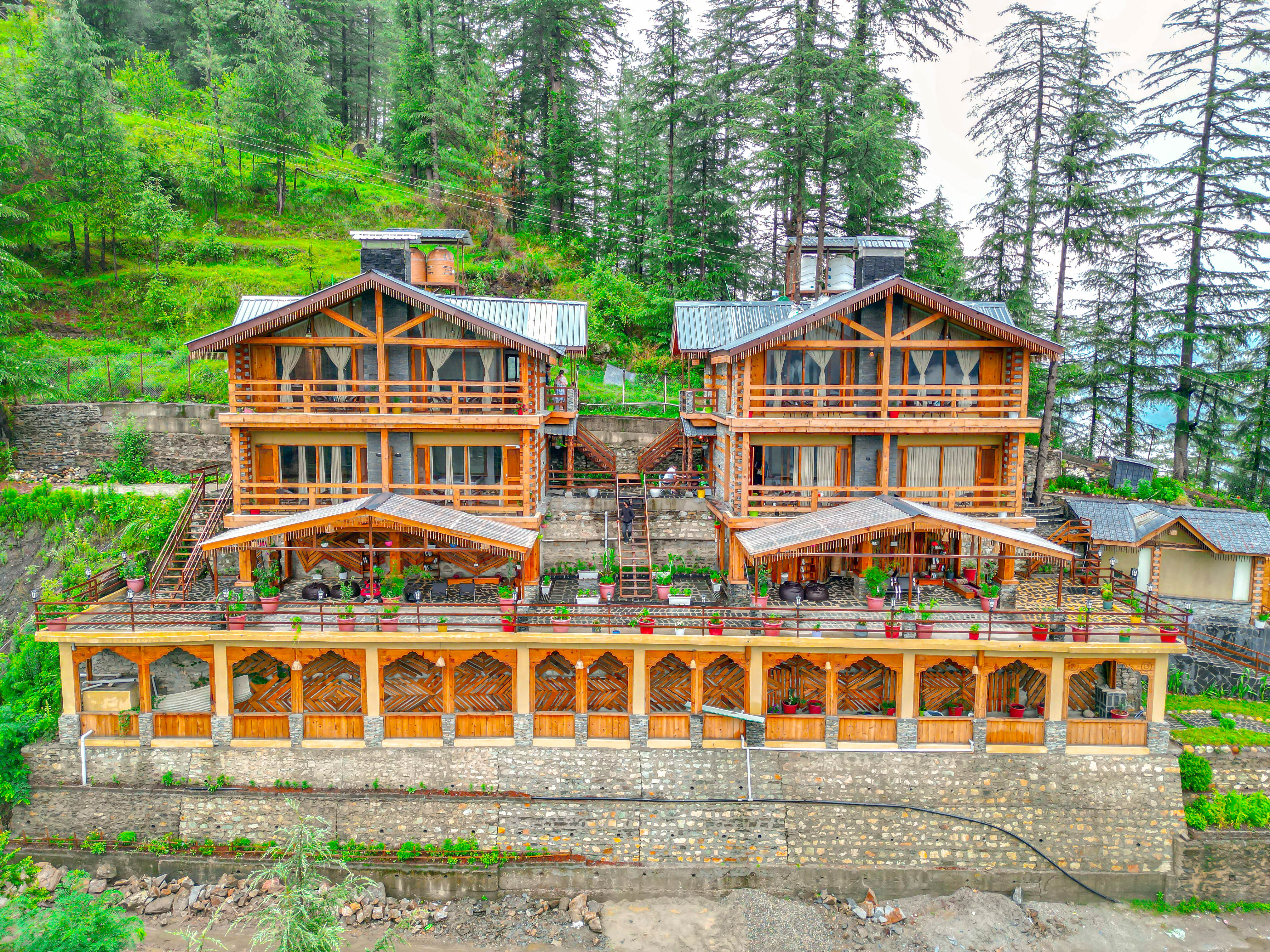 Forest canopy aerial view