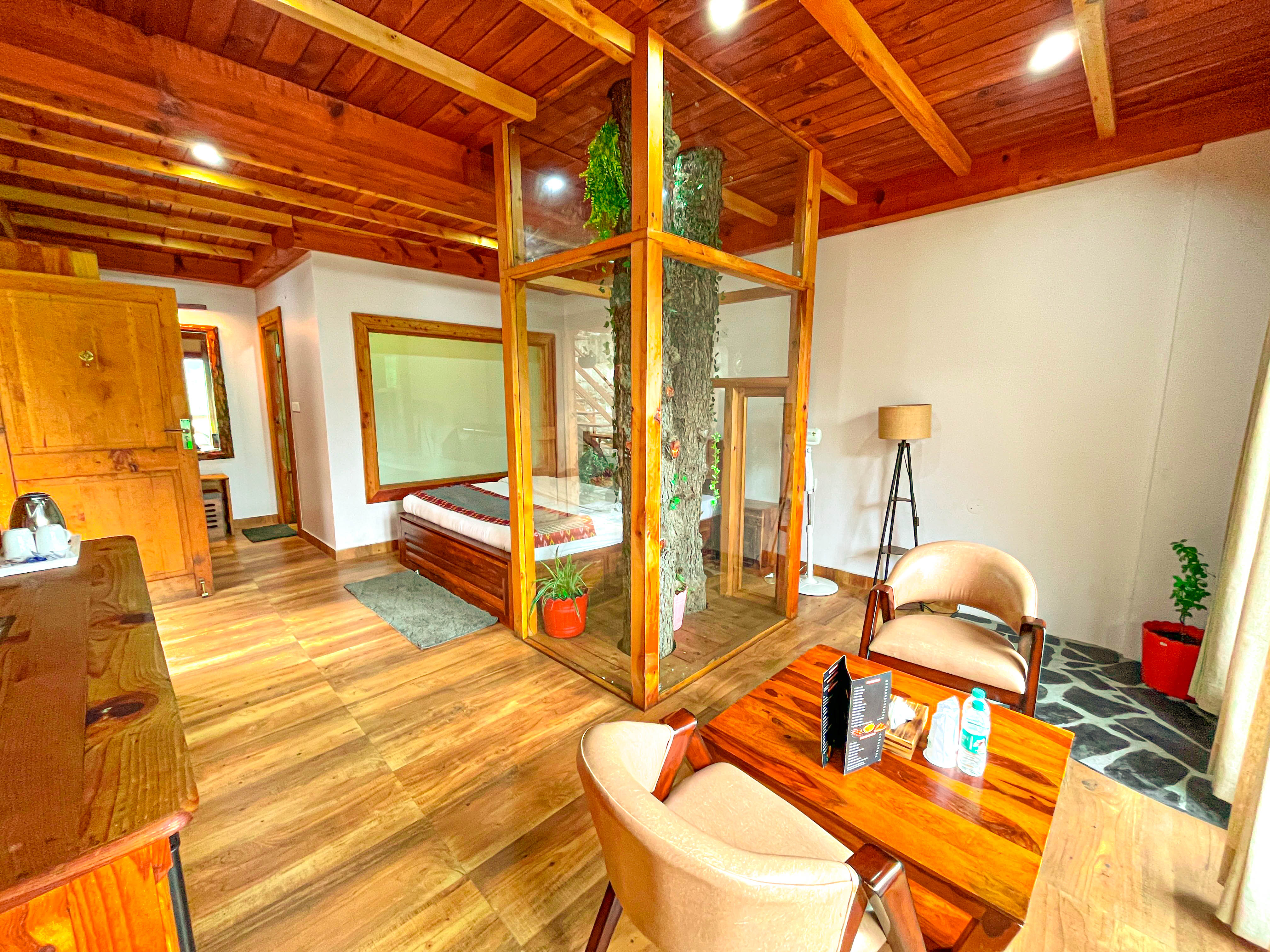 Mountain stream closeup