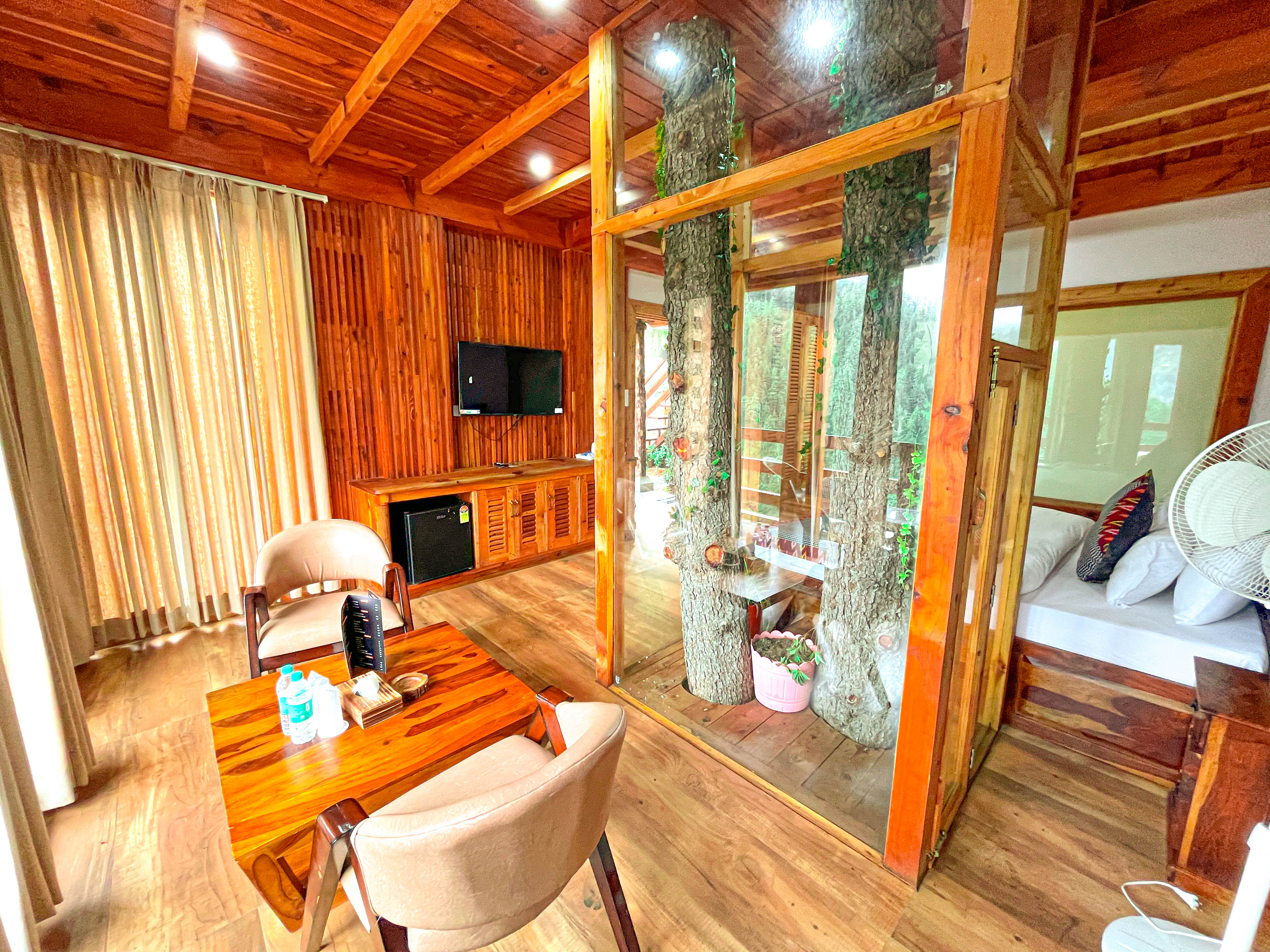 Panoramic mountain view