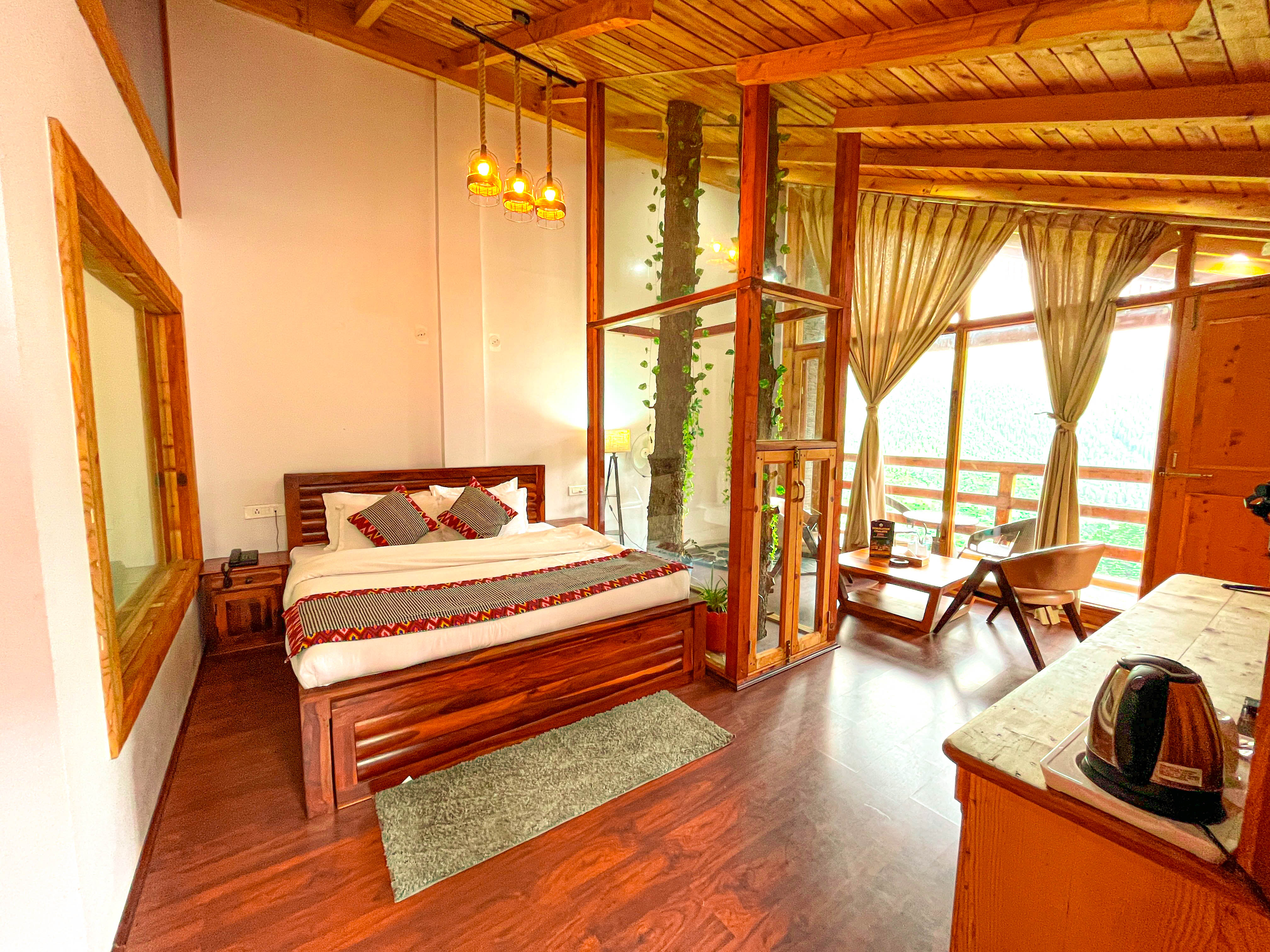 Forest trail adventure