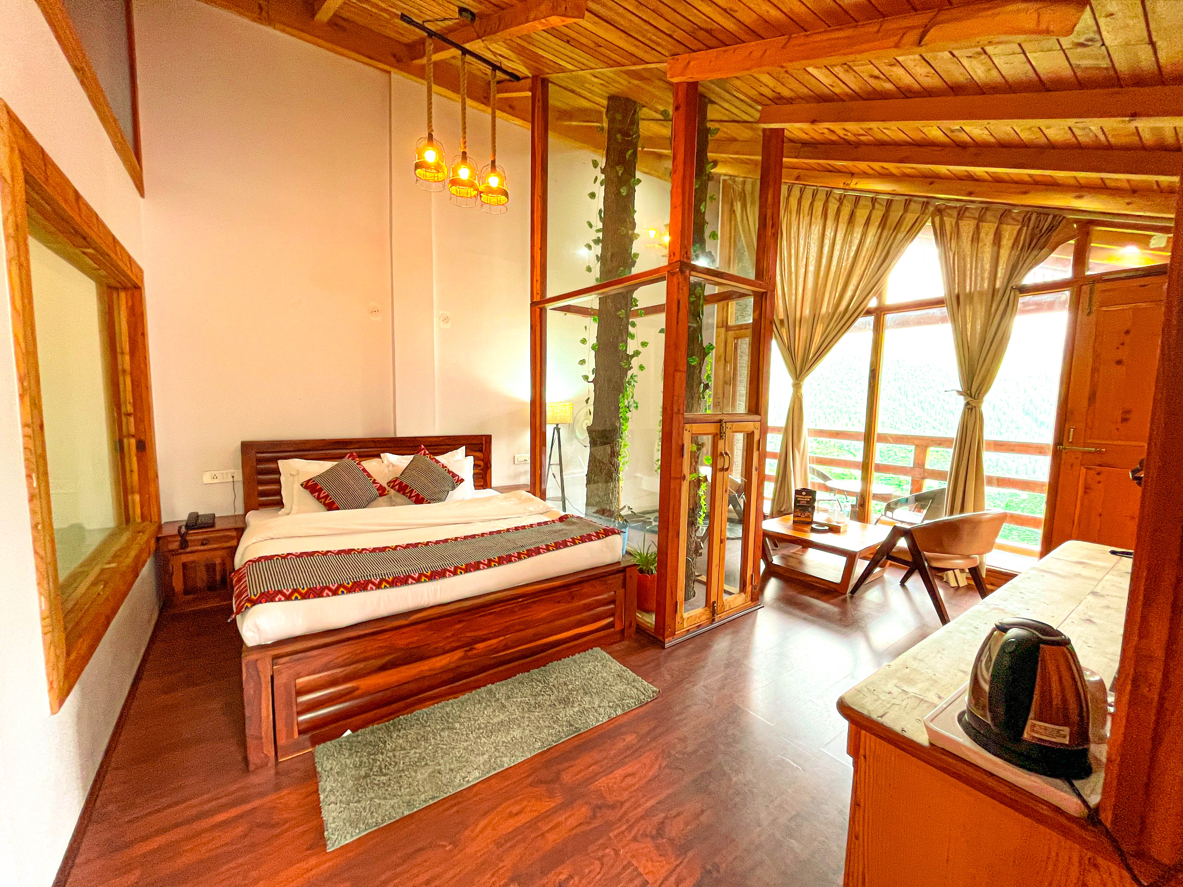 Nature walk through deodar