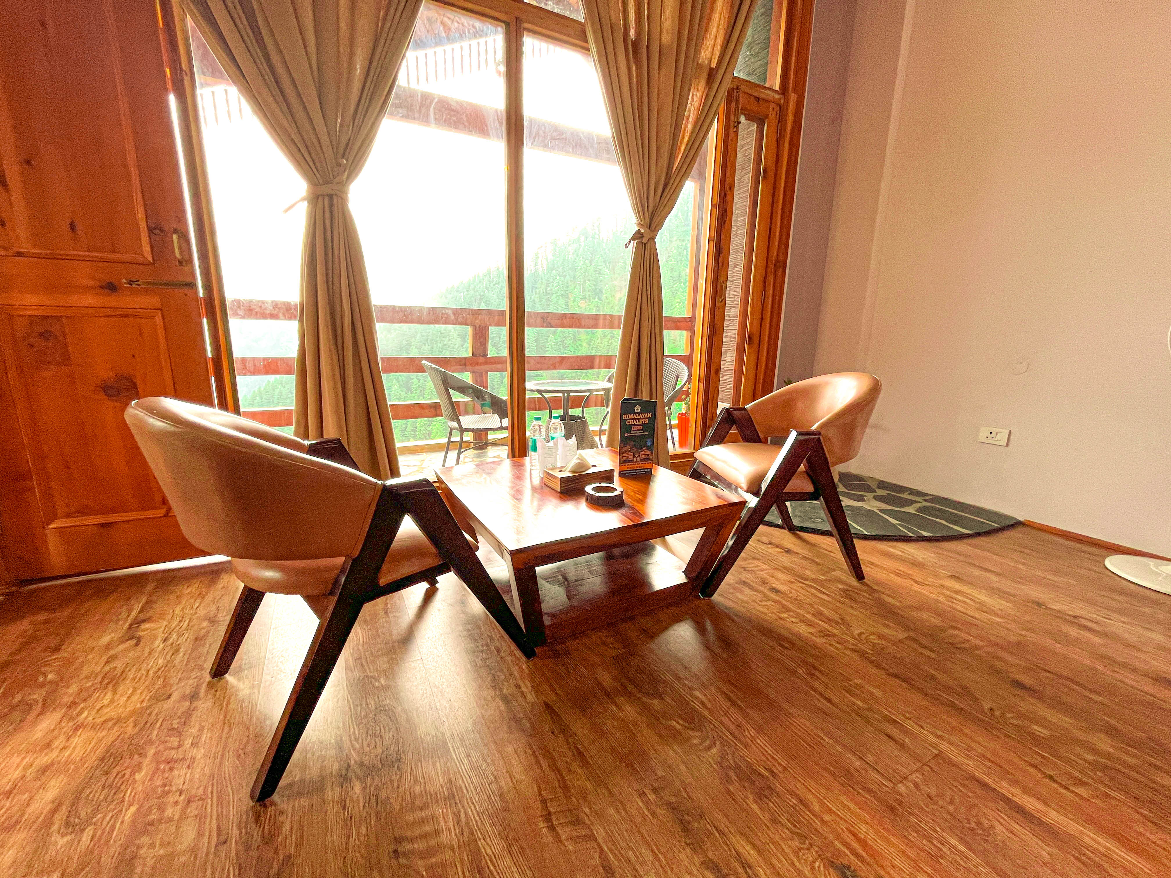 Path through rhododendrons